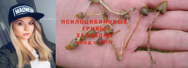 прущая мука Армянск