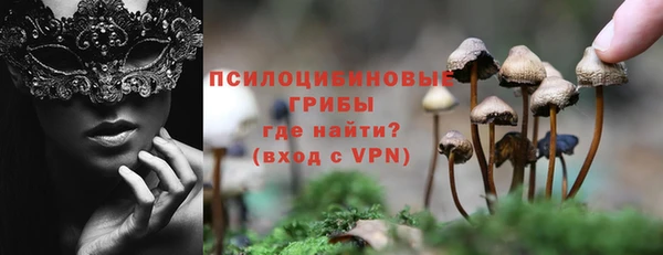 гидра Аркадак