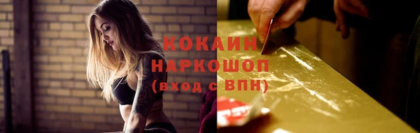 гидра Аркадак